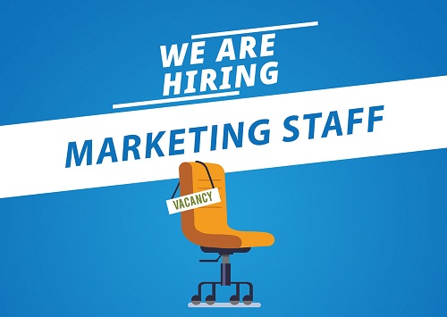 zintech hiring marketing staff-500-355